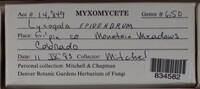 Image Associated With the Occurence
